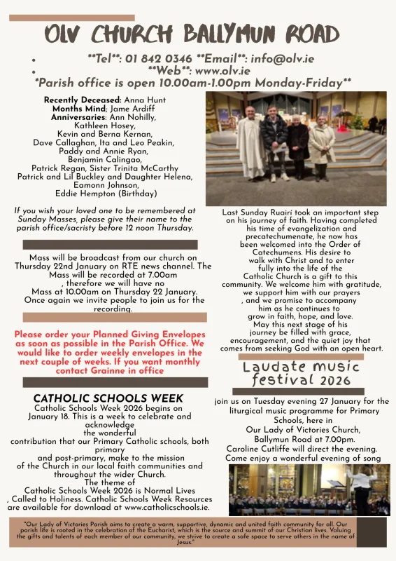 Brown Pink Simple Minimalist Modern Newsletter A4